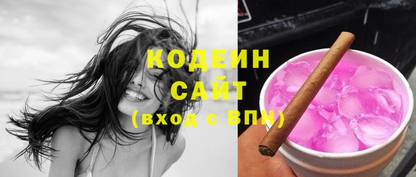 2c-b Бородино