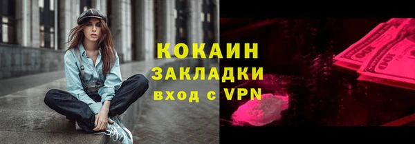 соль ск Богданович