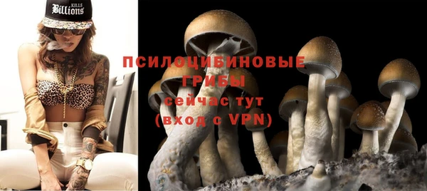 твердый Белокуриха